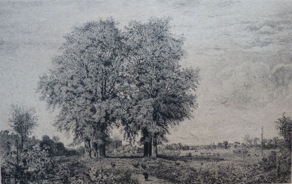 Maxime Lalanne.