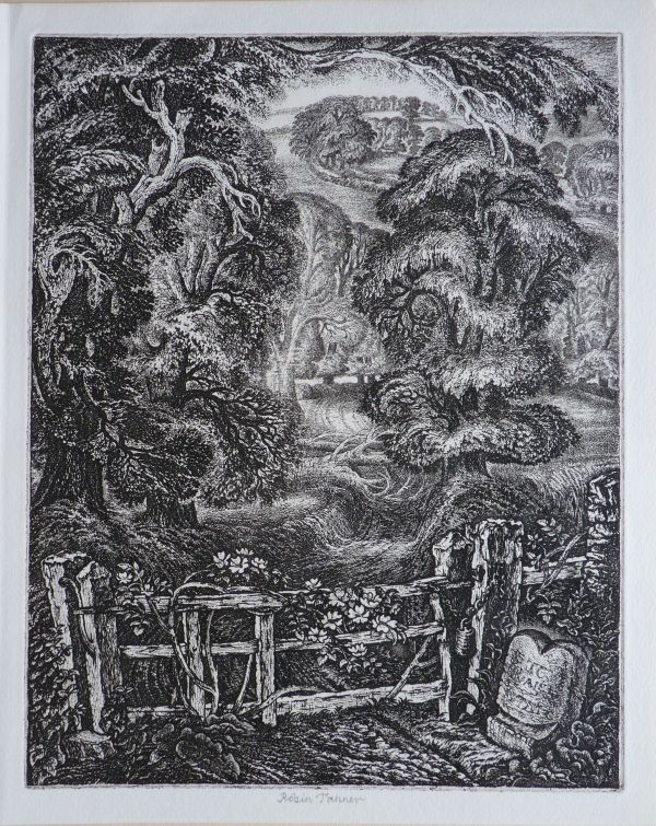 Robin Tanner - Image 2