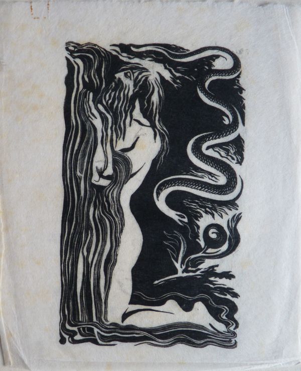 Dorothea Braby - Image 2