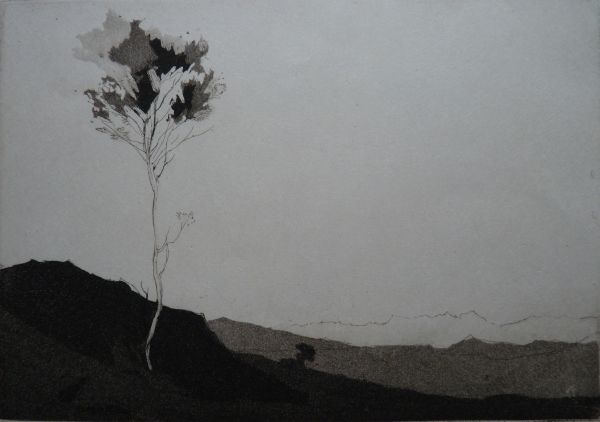 Eveleen Buckton