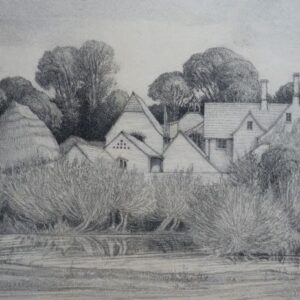 Patience Mary Hallward