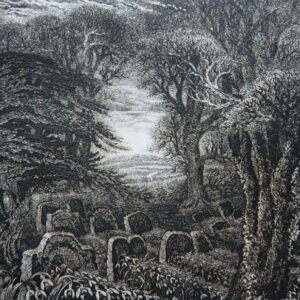Robin Tanner