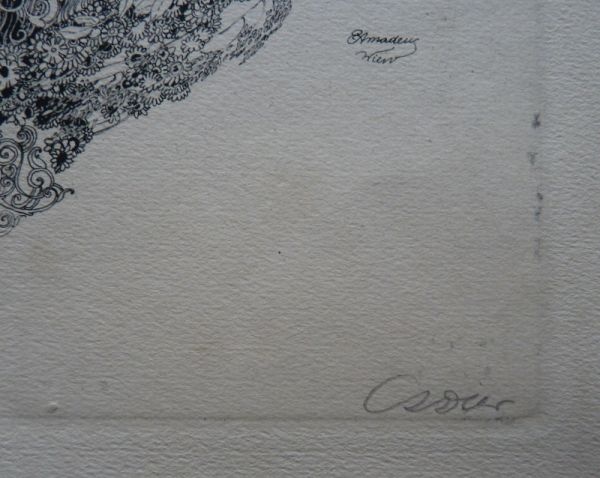 Erhard Amadeus Dier - Image 3