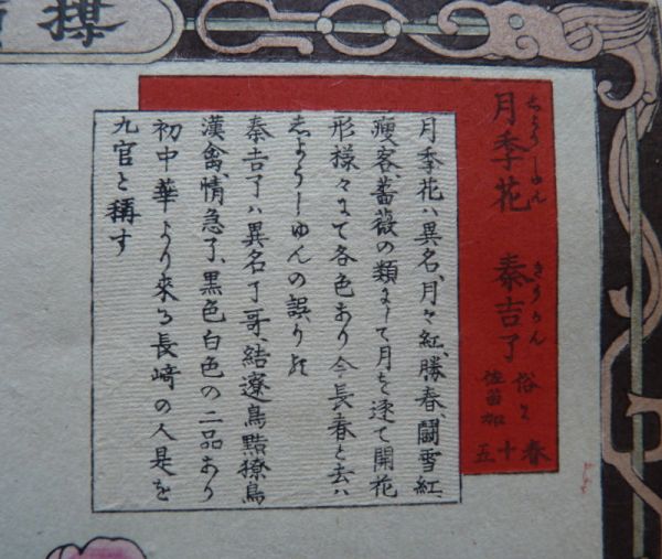Kono Bairei - Image 2