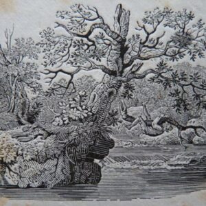 Thomas Bewick