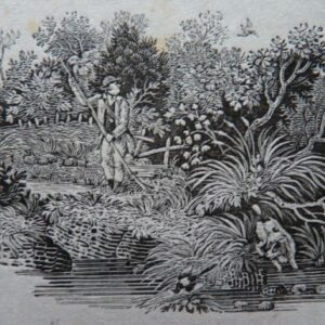 Thomas Bewick