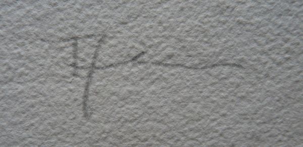 Alva - Image 4