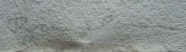 Alva - Image 4