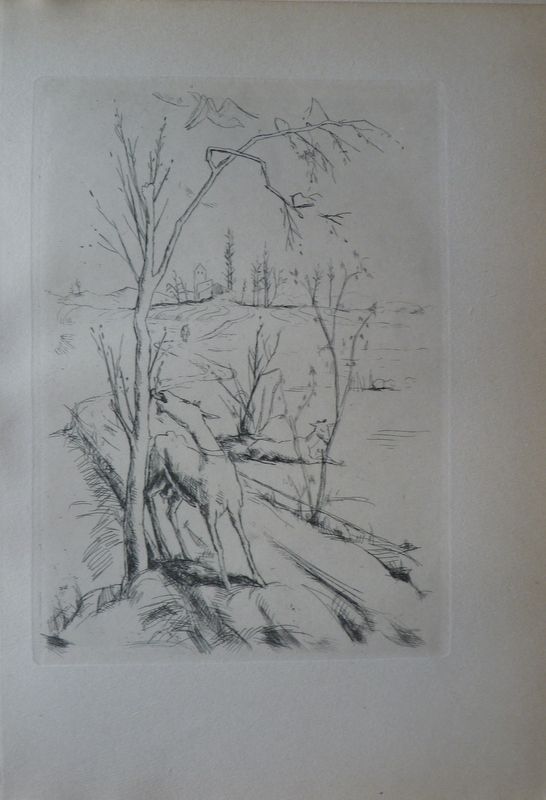 Felix Meseck - Image 2