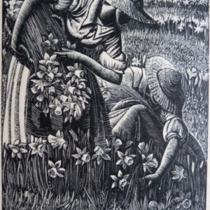 Winifred Thridgould