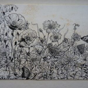 Evadne Rowan