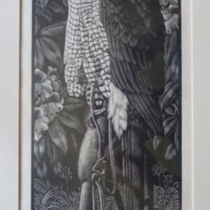 Charles Tunnicliffe