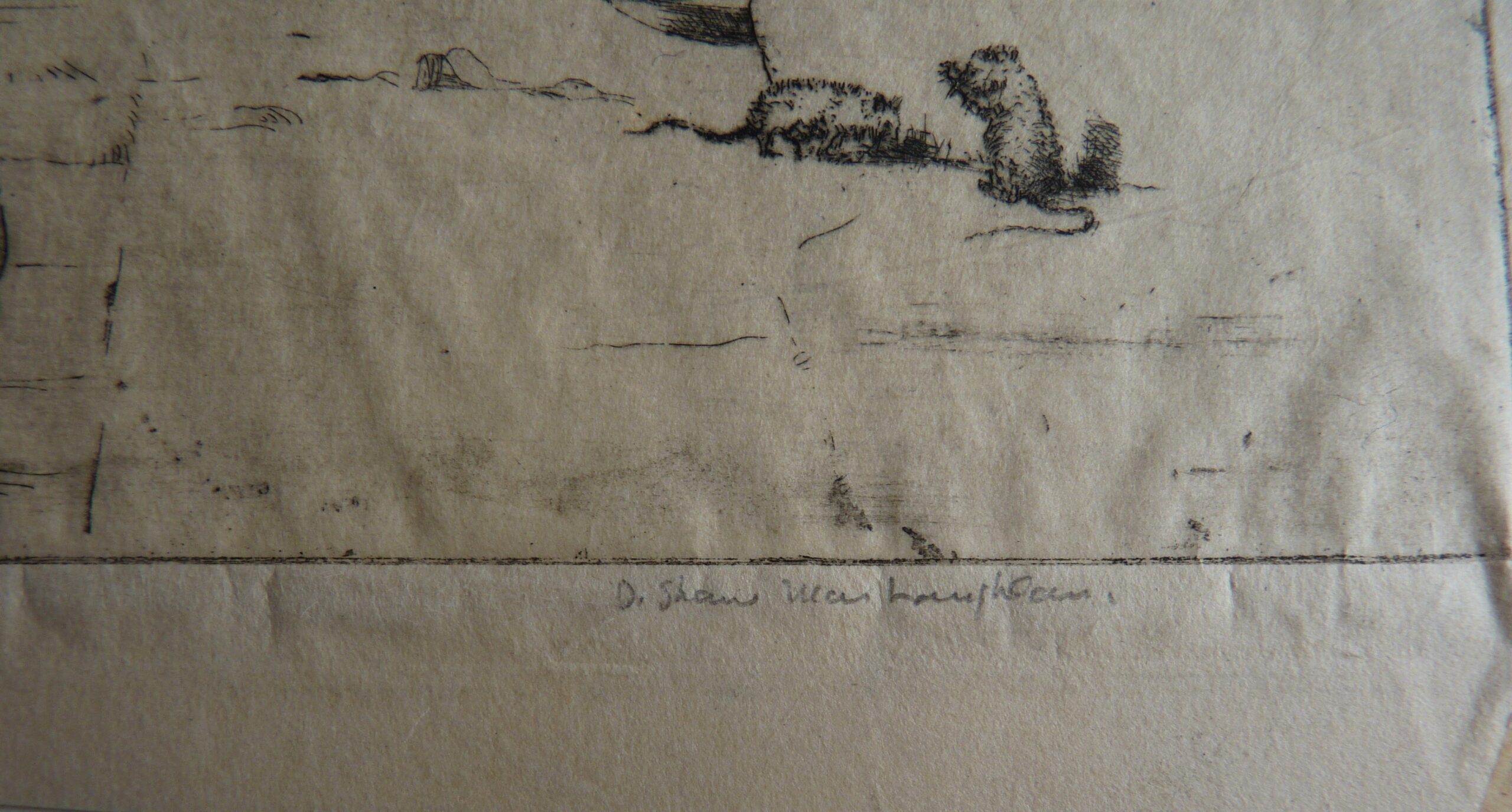 Donald Shaw MacLaughlan - Image 2
