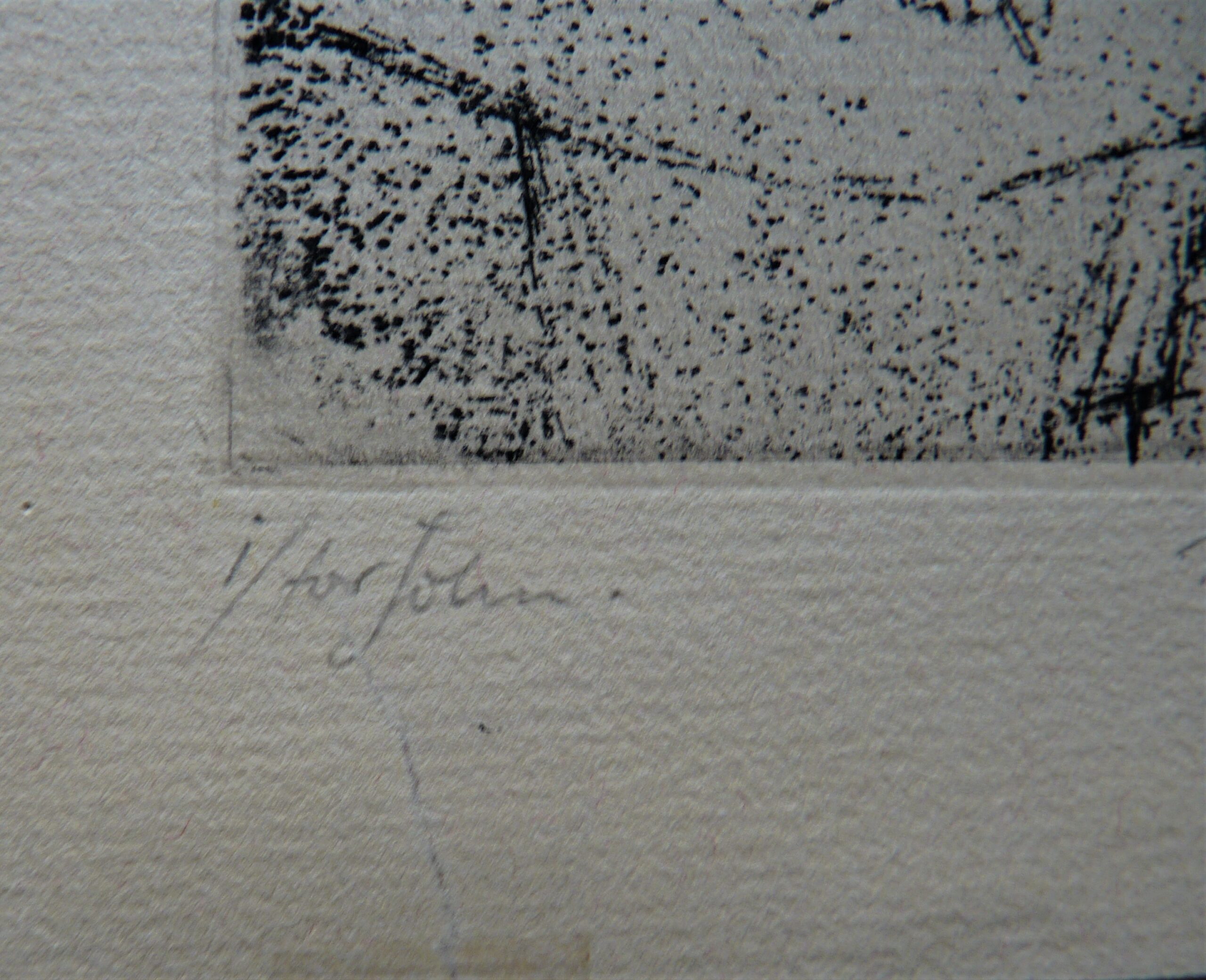 Nigel Lambourne - Image 4