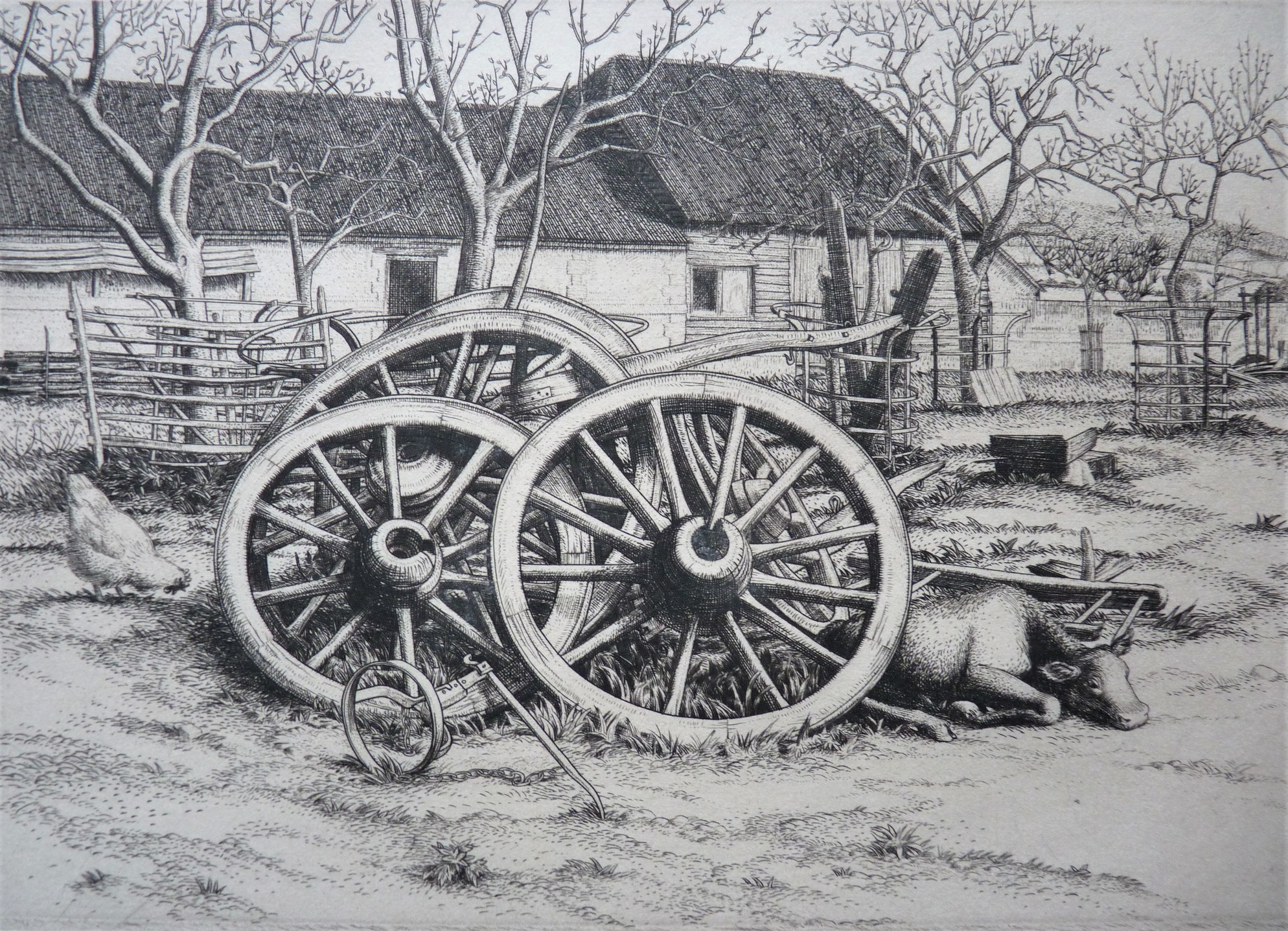 Wilfred Fairclough