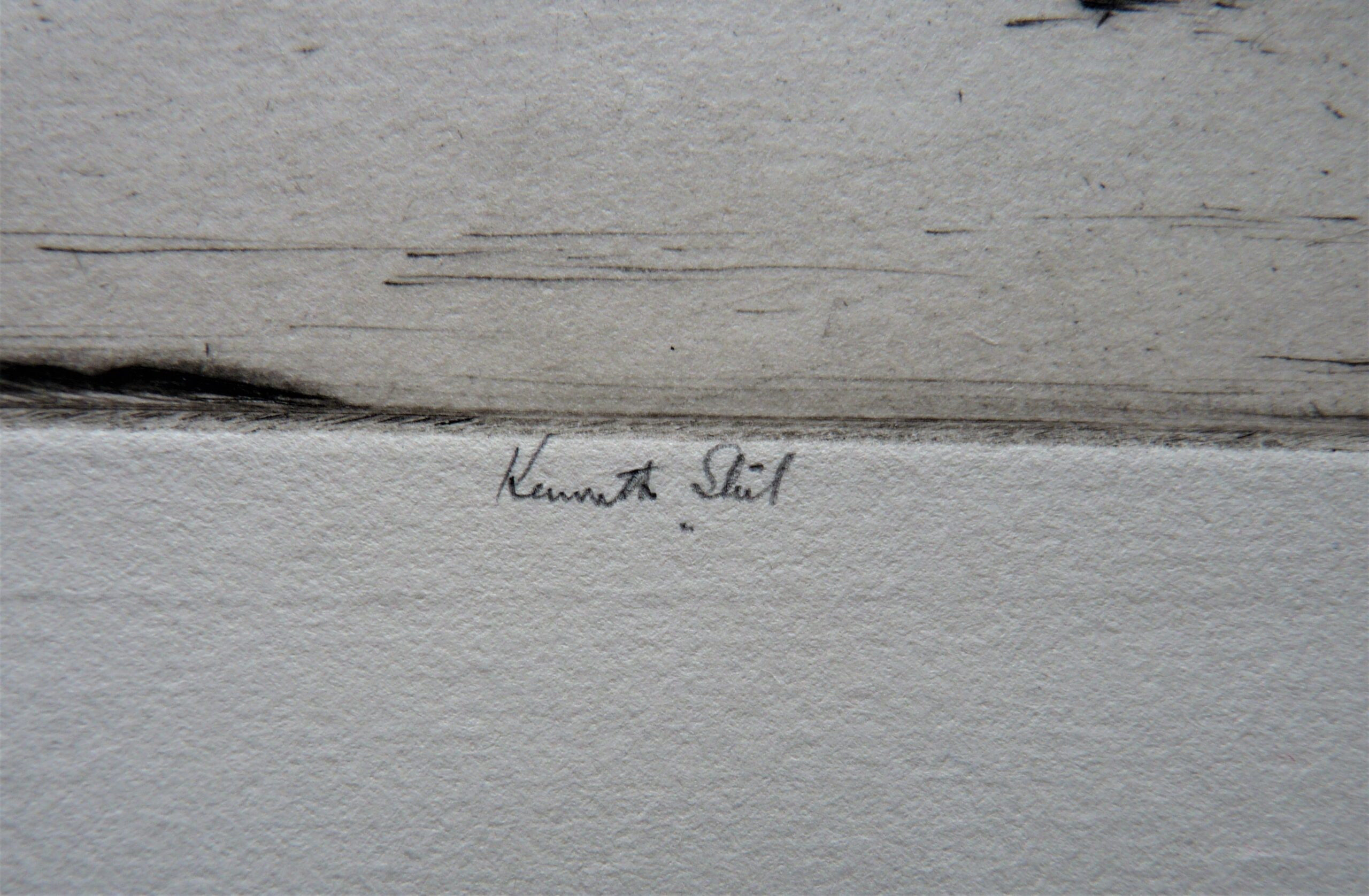 Kenneth Steel - Image 2