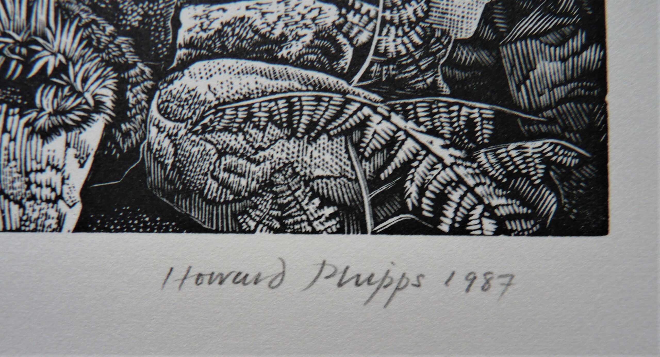 Howard Phipps - Image 2