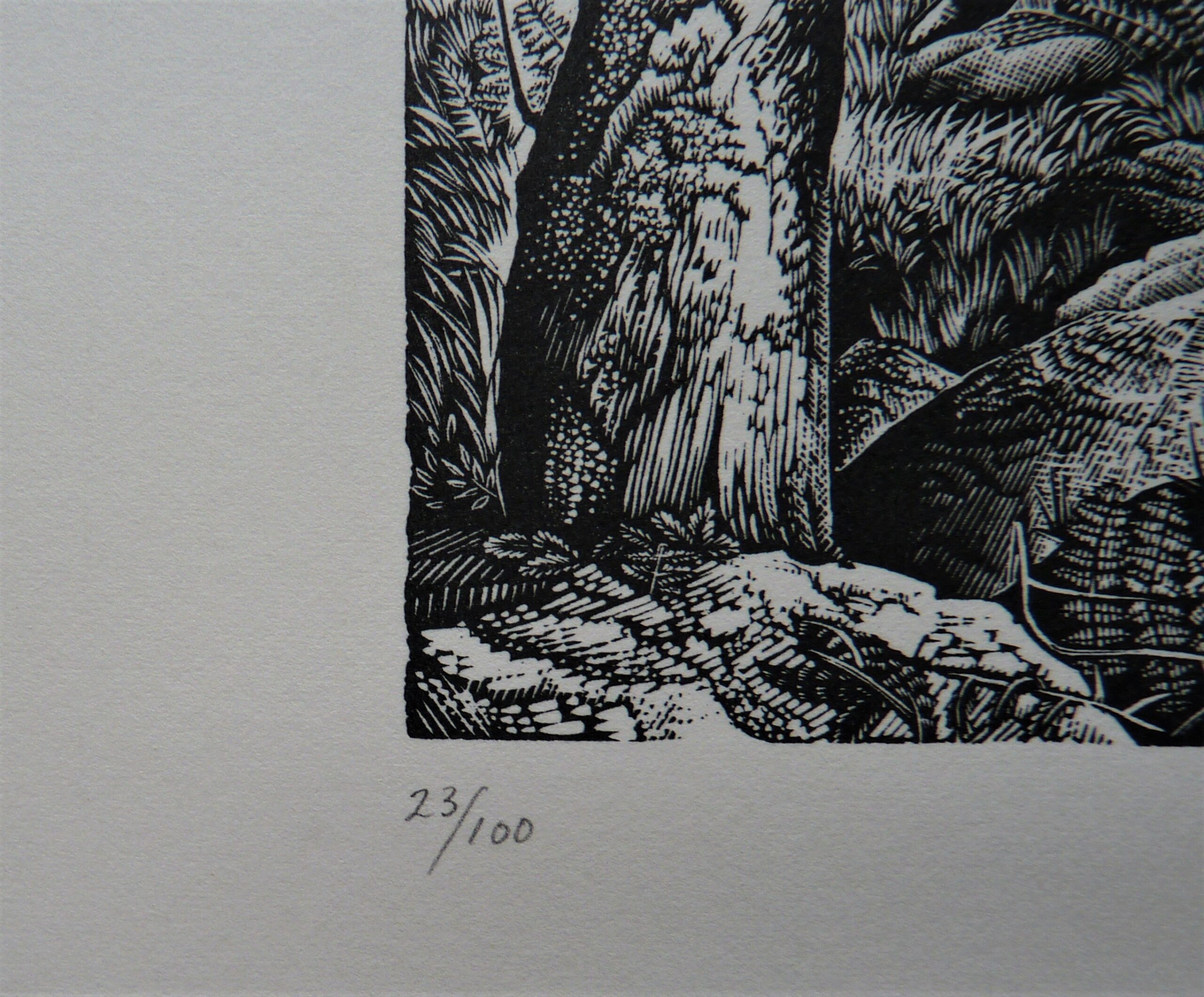 Howard Phipps - Image 4