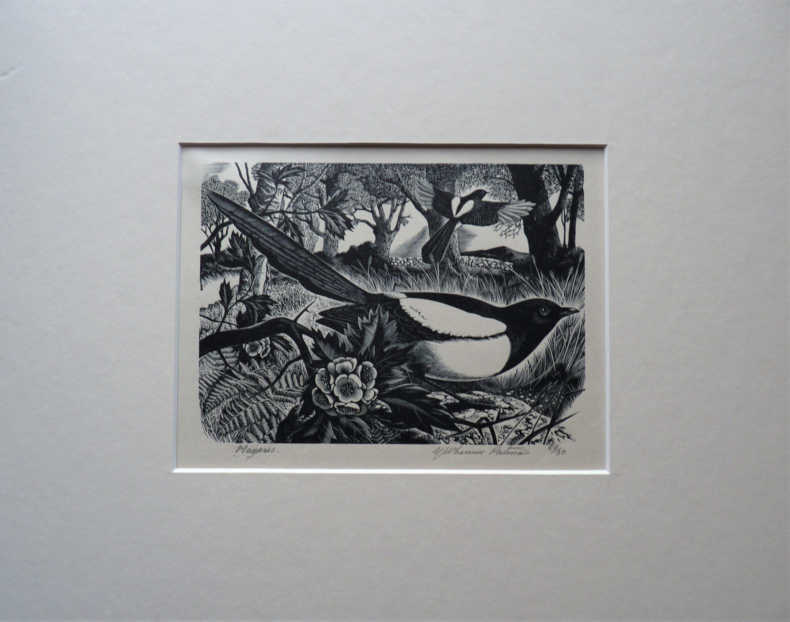 Lennox Patterson - Image 5