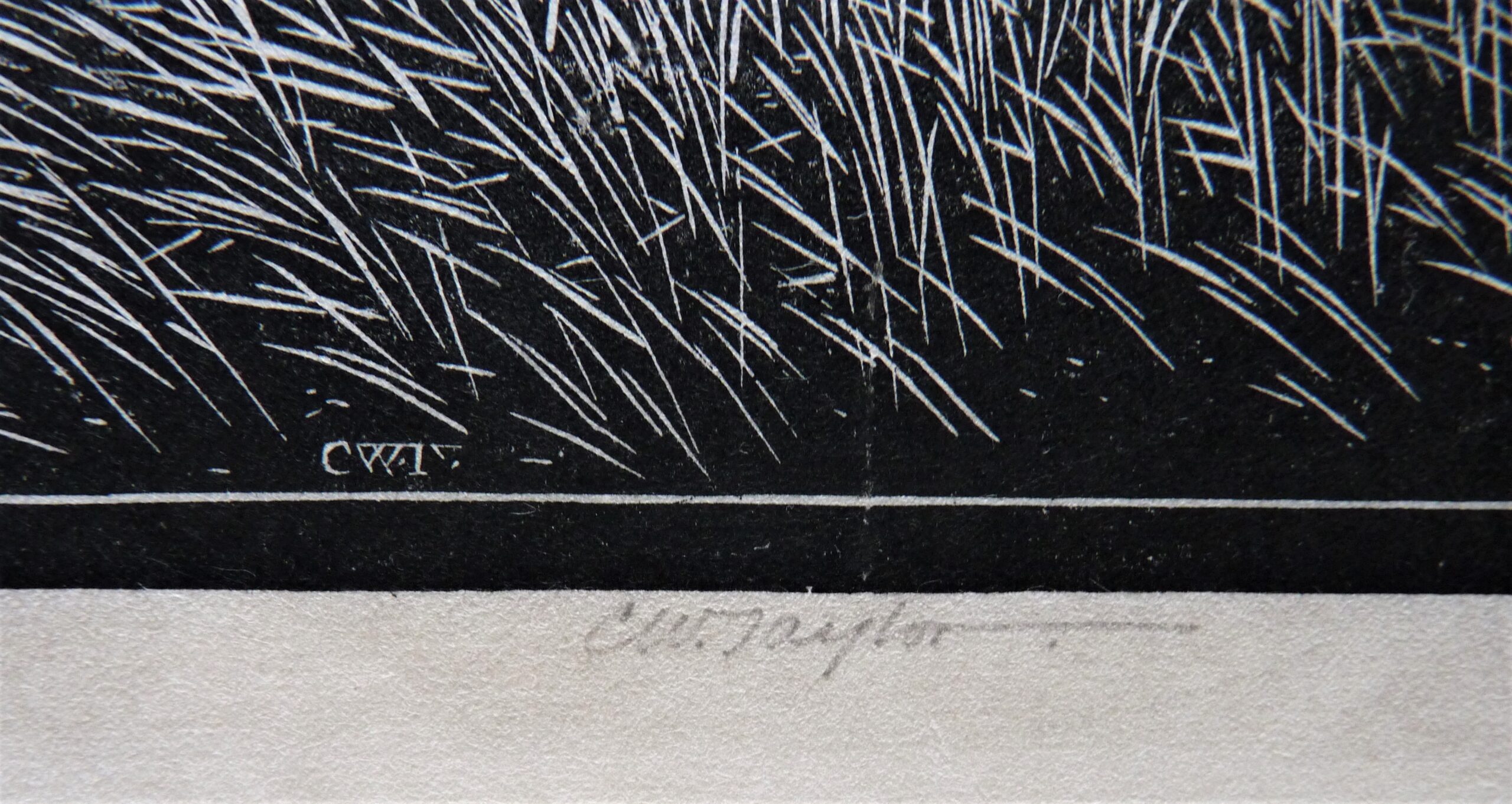 C.W. Taylor - Image 3