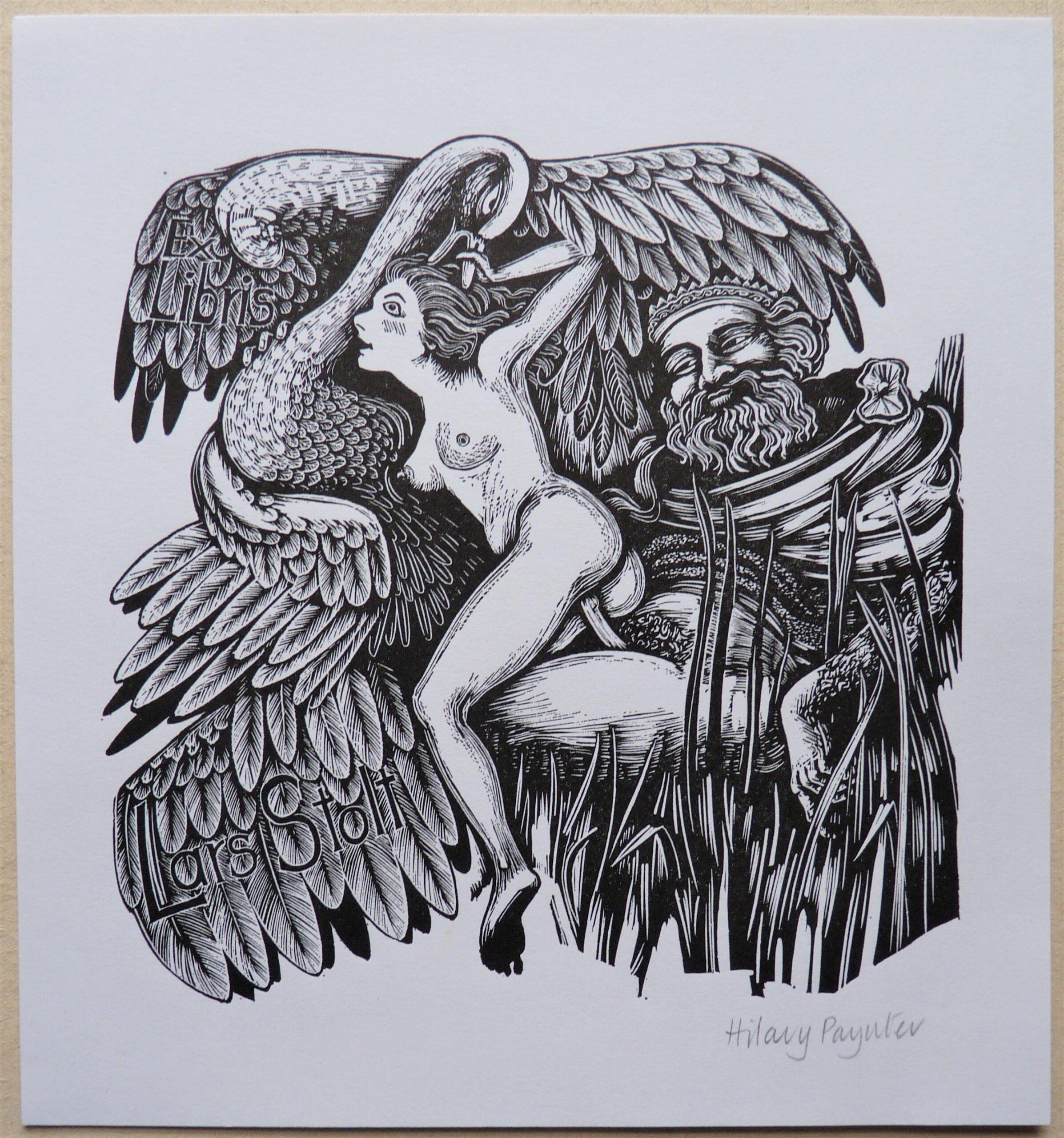 Hilary Paynter - Image 3