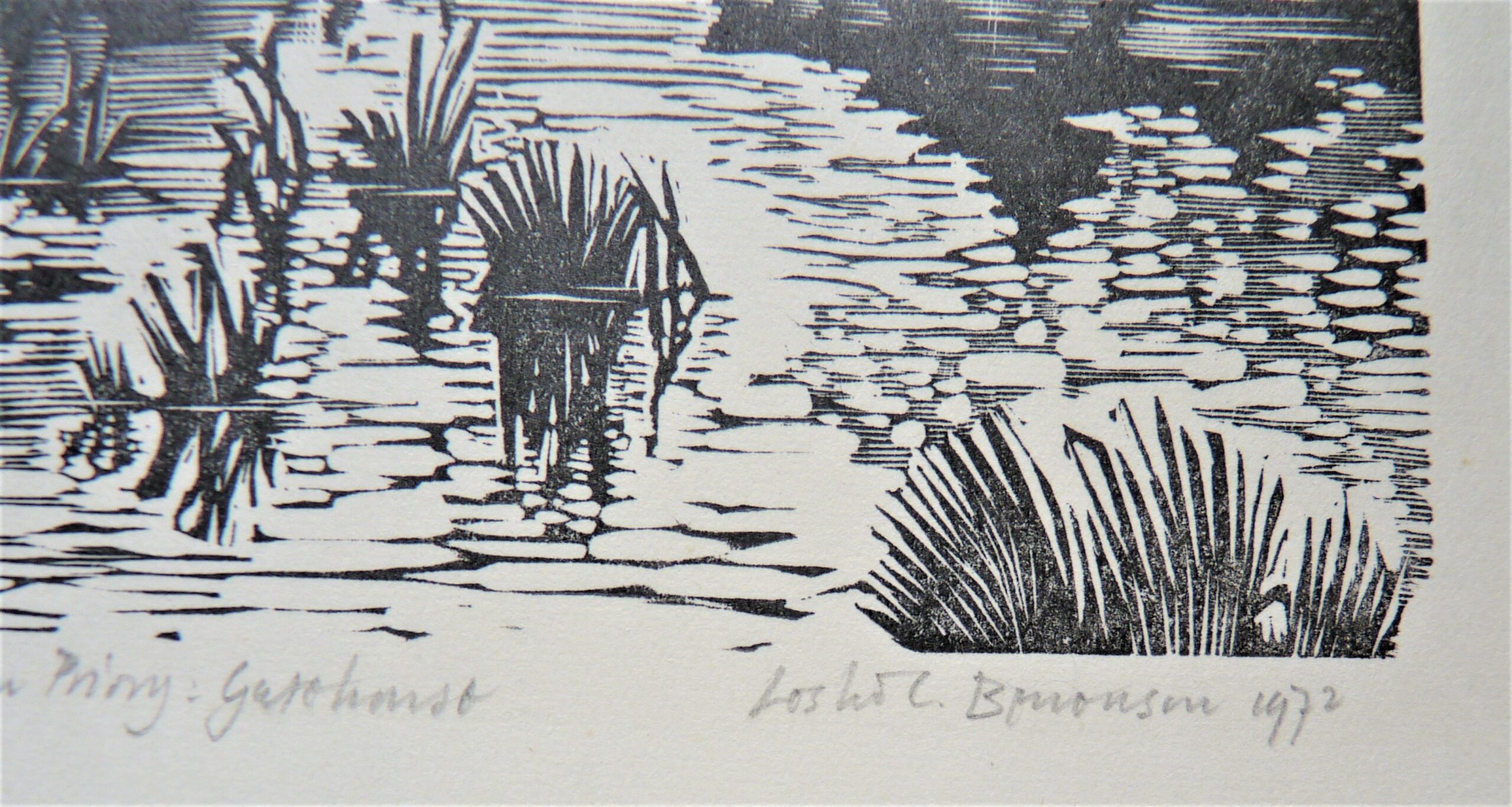 Leslie Charlotte Benenson - Image 3