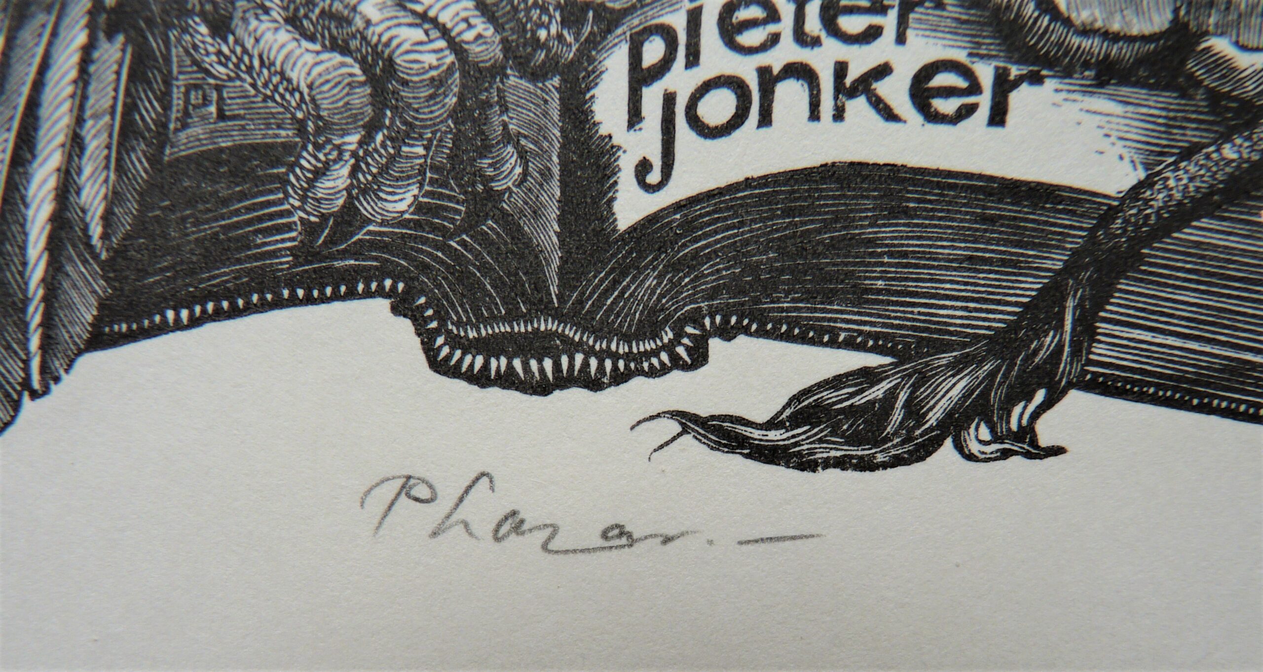 Peter Lazarov - Image 3