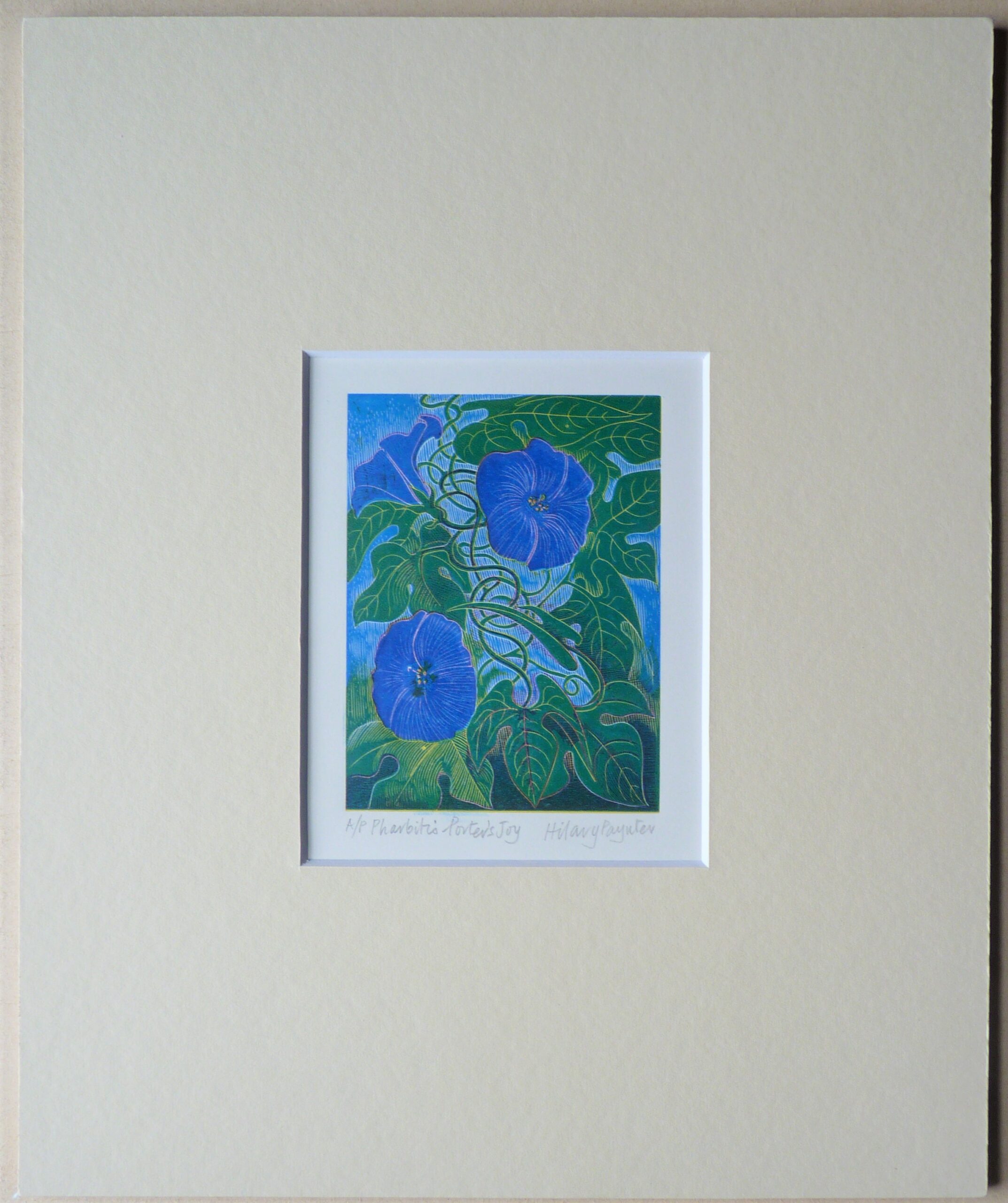 Hilary Paynter - Image 2