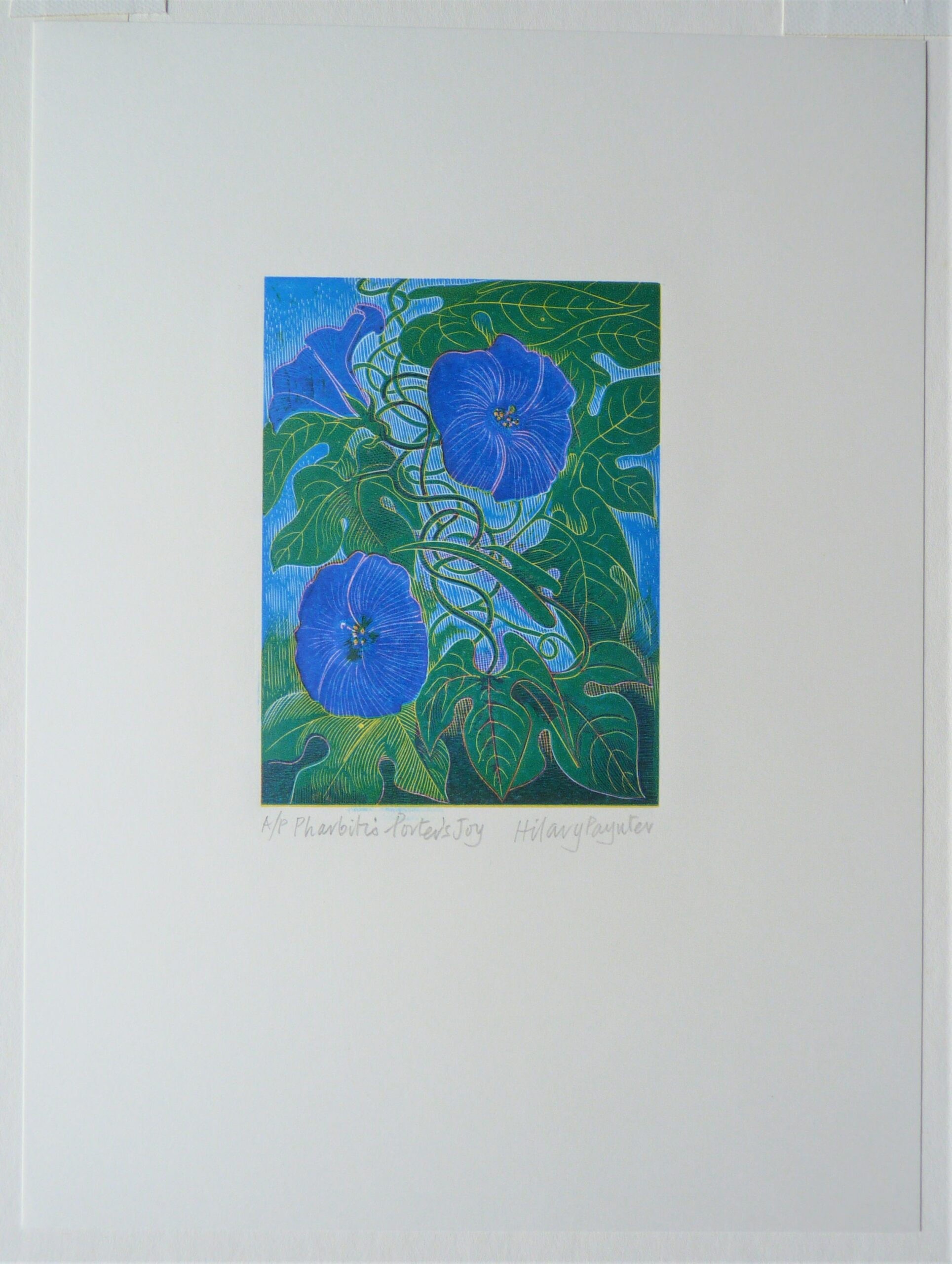 Hilary Paynter - Image 3