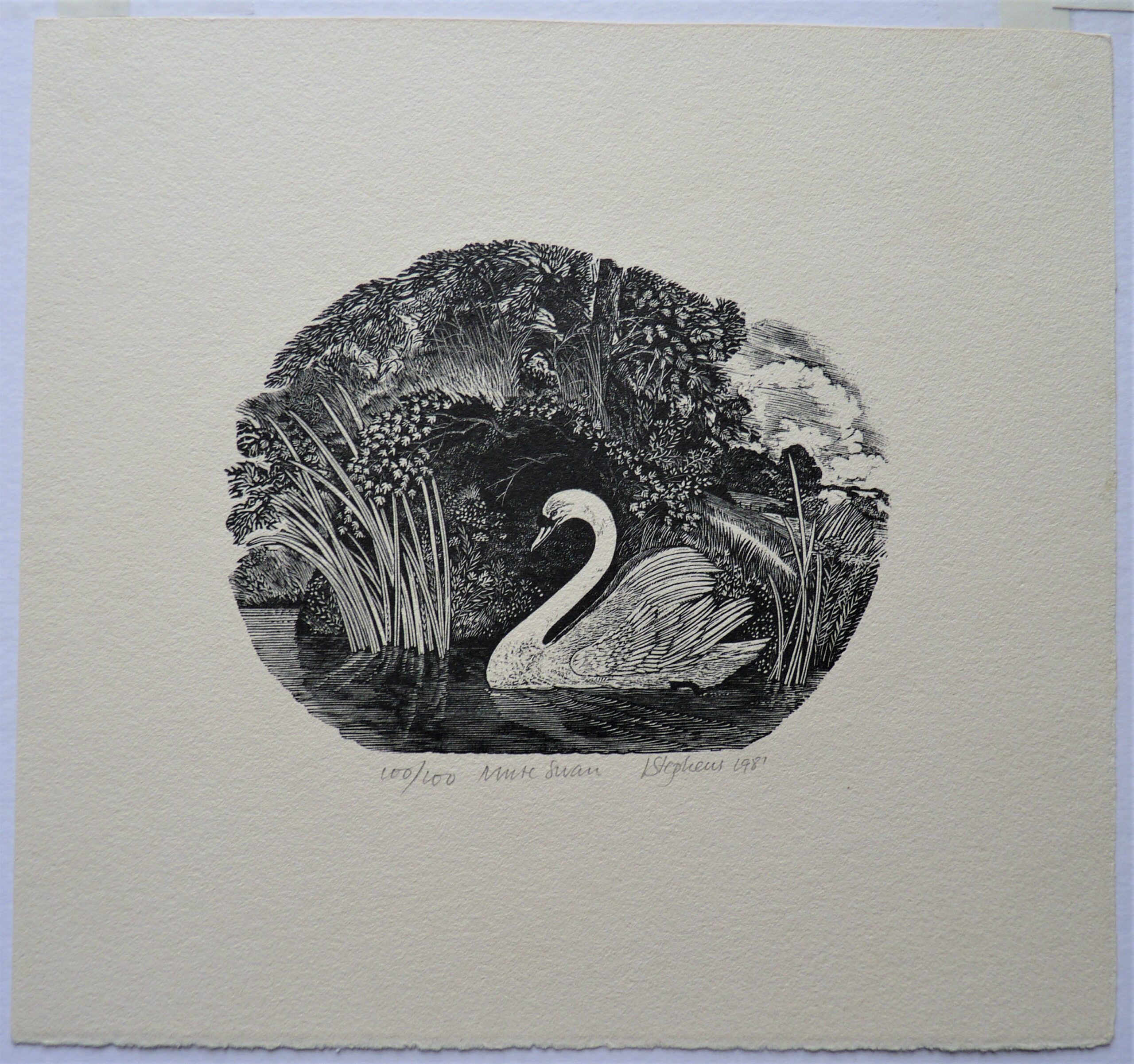 Ian Stephens - Image 2