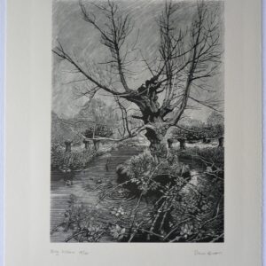 Simon Brett