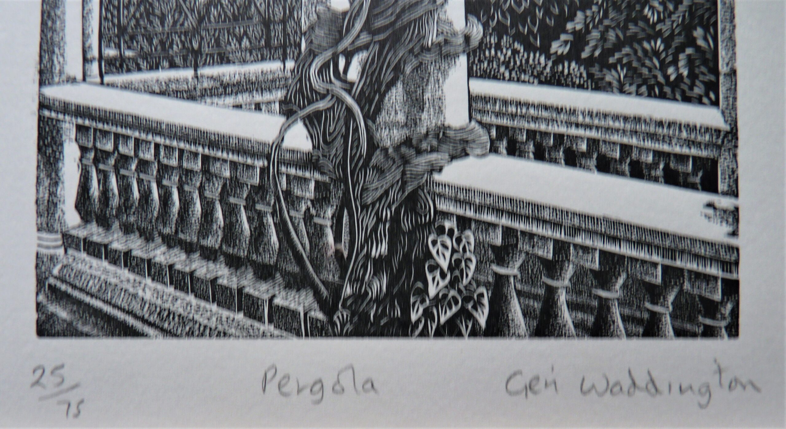 Geri Waddington - Image 2