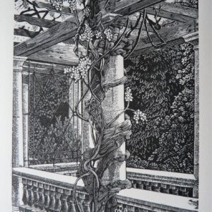 Geri Waddington