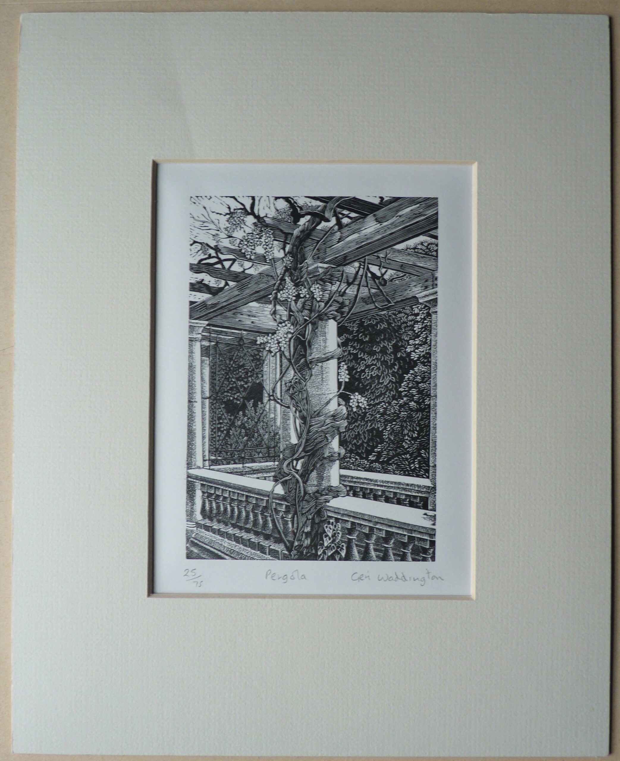 Geri Waddington - Image 3