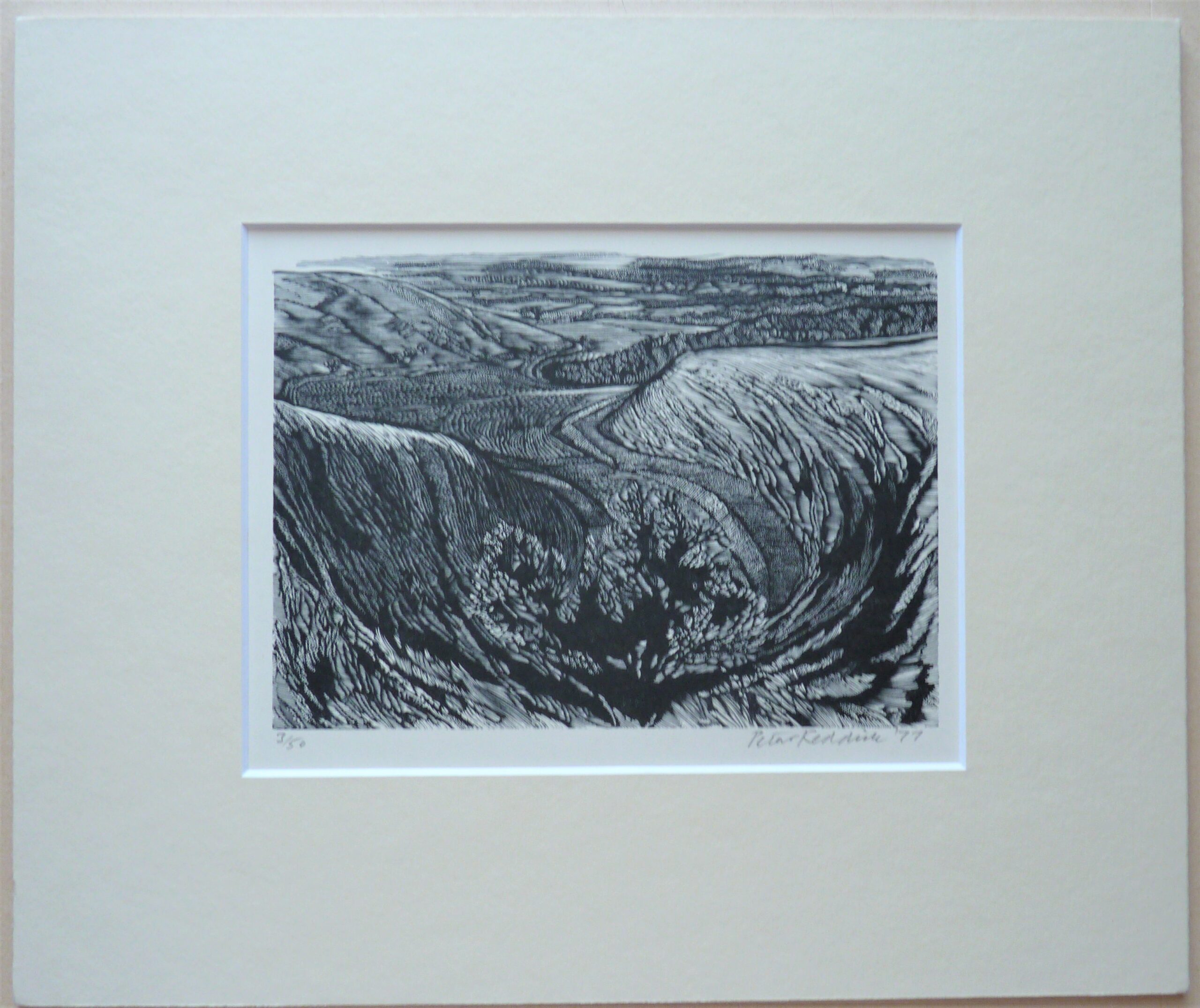 Peter Reddick - Image 2