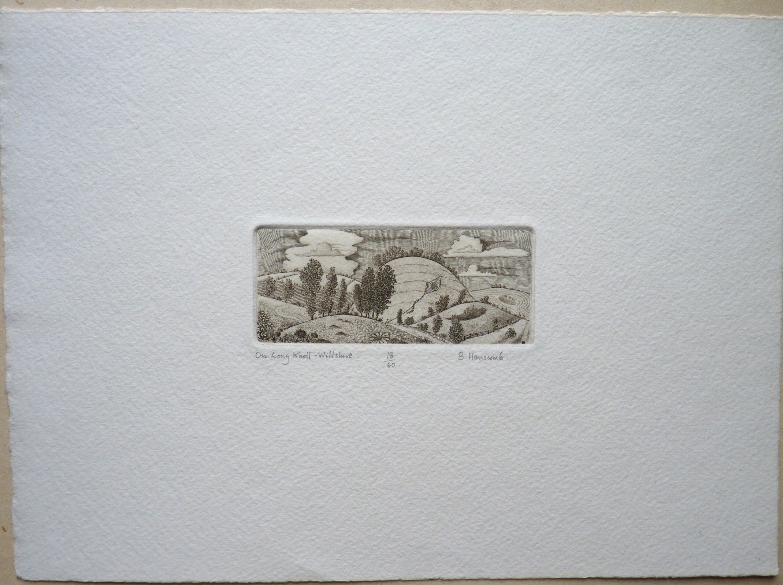 Brian Hanscomb - Image 3